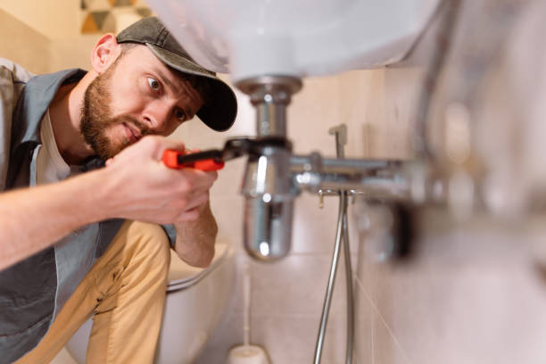 Best Local Plumber Services  in Dexter, MO
